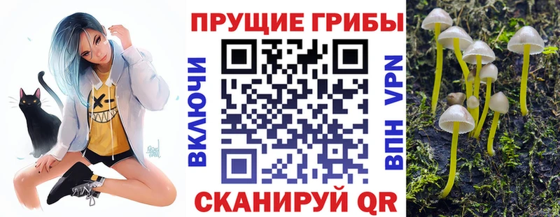 Купить где  Карабулак  Галлюциногенные грибы мицелий 